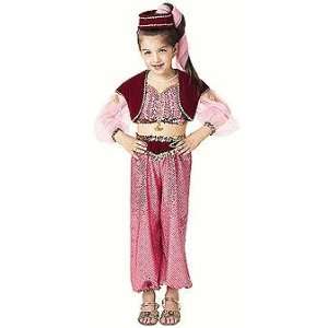  Dream Genie Costume Girls 10 12 