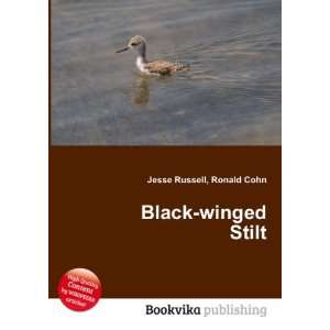  Black winged Stilt Ronald Cohn Jesse Russell Books
