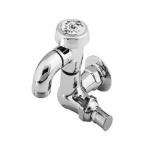  T&S Brass B 0720 RGH Sill Faucet