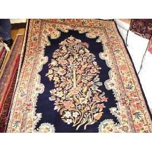   3x5 Hand Knotted Kashan India Rug   30x51