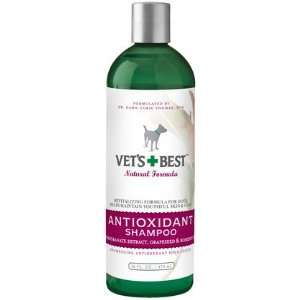  Antioxidant Shampoo   16 oz (Quantity of 3) Health 