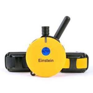   Technologies Einstein Remote 2 Dog Trainer 3/4 mile