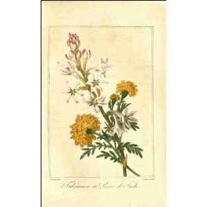  Reprint Tubreuse et Rose dInde 1819