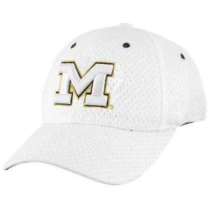   Zephyr Michigan Wolverines White Glacier ZFit Hat