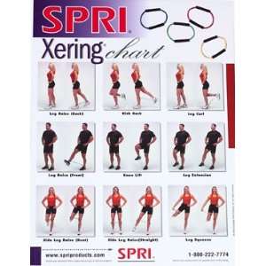 SPRI Xering Exercise Wall Chart 