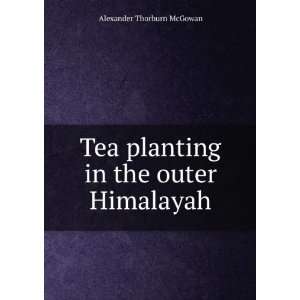   Tea planting in the outer Himalayah Alexander Thorburn McGowan Books