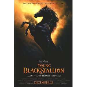  Young Black Stallion Movie Poster Double Sided Original 
