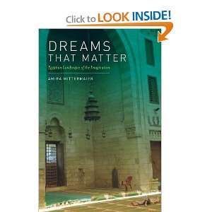   Landscapes of the Imagination [Paperback] Amira Mittermaier Books