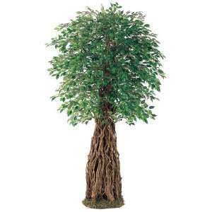  6 Mini Ficus Tree W/4270 Lvs. & Natural Twig Trunk (Pack 