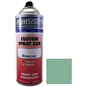12.5 Oz. Spray Can of Haze Green Poly Touch Up Paint for 1967 Chrysler 