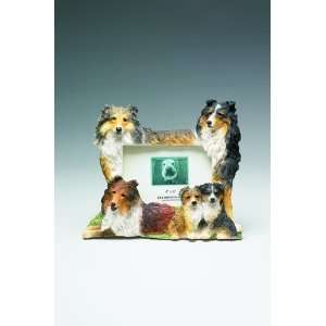  Shetland Sheepdog 4x6 Photo Frame 