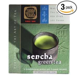 Yamamotoyama Sencha Green Tea Pyramid Bag, 0.81 Ounce Boxes (Pack of 3 
