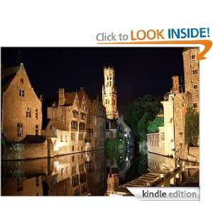 The Bruges Travel Reference Guide for the Busy Traveler   A Guidebook 