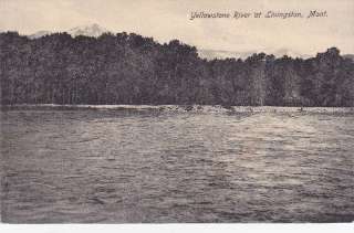 Yellowstone River LIvingston MT Montana old Postcard  