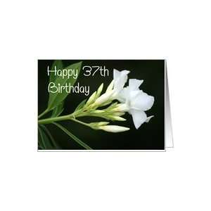  37th Birthday, white Flowers on Black Card Toys & Games