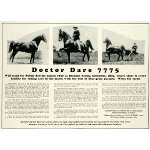  1929 Ad Doctor Dare Blendon Farm Colubus Ohio Saddle Show 