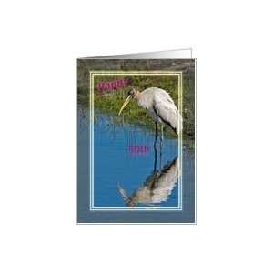  50th Birthday Card with Wood Stork Card Toys & Games
