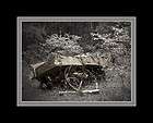   Matted Photograph Old Farm Wagon ACID FREE FIBER SATIN RAG (XAR