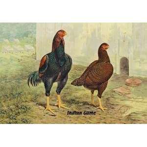  Vintage Art Indian Game (Chickens)   05634 7