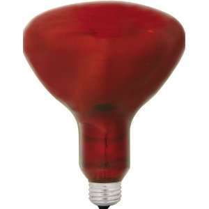 GE 37771 R40 Heat Lamp, Red, 250 Watt  