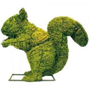  Squirrel Mossed Topiary Frame