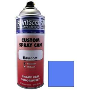   Paint for 2003 Winnebago All Models (color code P6240) and Clearcoat