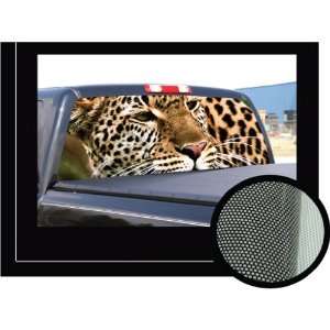   Rear Window Graphic   compact pickup truck tint film view thru vinyl