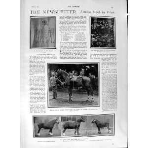 1901 GENERAL GORDON HORSES WEBB WOOD WHITE HART COLLINS  