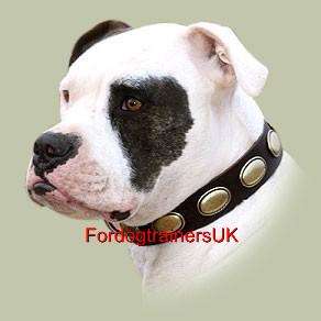 Retro Vintage Leather Dog Collar, Black 14 32 inch C103  
