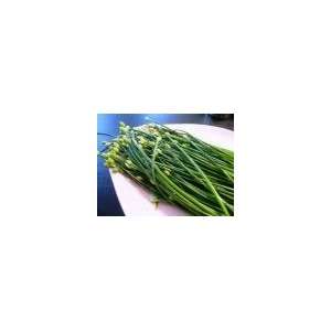  Todds Seeds   Herb   Garlic Chive Herb Seed, Sold by the 