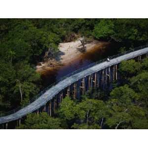  Pedaling above the Rio Negro and rainforest northwest of 