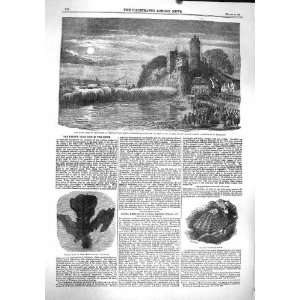  1860 RIVER SEINE TANCARVILLE QUILLEBEUE FOSSIL DULWICH 