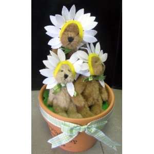  Enesco Boyds Whoops. A Daisies 