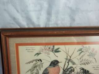 Vintage Arthur Singer Signed Birds Framed Picture  