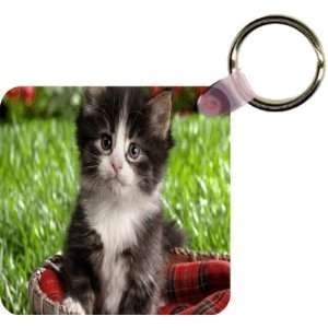  Black and White Kitten Art Key Chain   Ideal Gift for all 