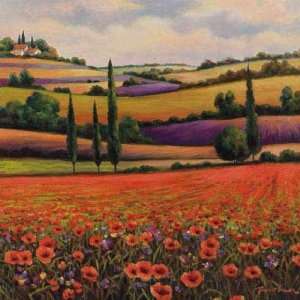  T.C. Chiu 24W by 24H  Fields of Poppies I CANVAS Edge 