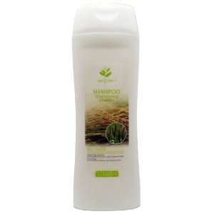  Wheat Germ oil Shampoo (Pack of 12pcs) Beauty