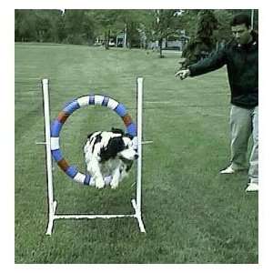  Agility Dog Training Practice Tire Jump