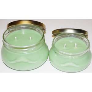   of 2   6 oz & 2   11oz Tureen Soy Candle   Meadow 