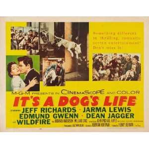  Its a Dogs Life Poster Movie Half Sheet B 22 x 28 Inches 