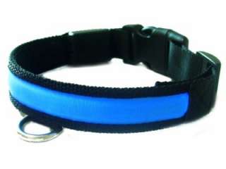 Pet Safety Dog Collar LED Light up Glow in Dark blue  