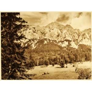   Craiului Mountains Carpathians   Original Photogravure