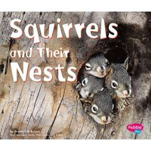  Squirrels And Their Nests