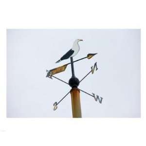   PPBPVP1435 Seagull Weathervane  10 x 8  Poster Print