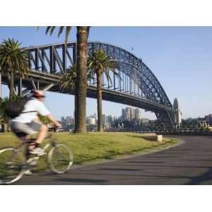  An Early Morning Cyclist Rounds Daves Point Reserve at 