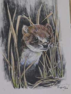 CARRYE E. SCHENK ORIGINAL SIGNED WEASEL IN GRASS FRAMED  