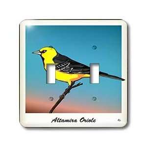 Mark Grace GRACEVISIONS Birds   BIRDS altamira oriole 1 on transparent 