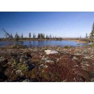  Landscape at Hudson Bay, Churchill, Manitoba, Canada 