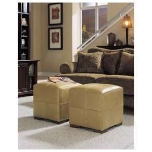  Stanley Furniture American Modern Birch Leather Cube 