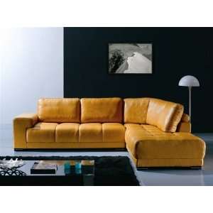  Italian Leather Sectional Sofa Set   Venus Leather 